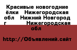 Красивые новогодние ёлки - Нижегородская обл., Нижний Новгород г.  »    . Нижегородская обл.